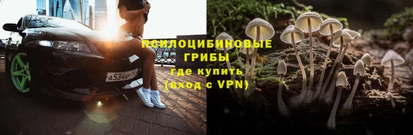 стаф Алексин