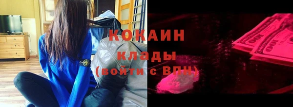 стаф Алексин