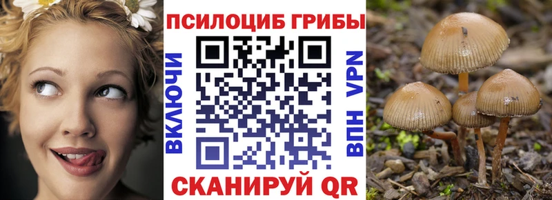 купить  сайты  Баймак  Галлюциногенные грибы Magic Shrooms 