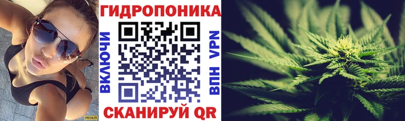 кракен сайт Баймак Бошки Шишки планчик